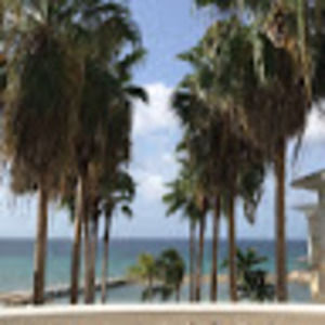 Meet your Posher, Morgan